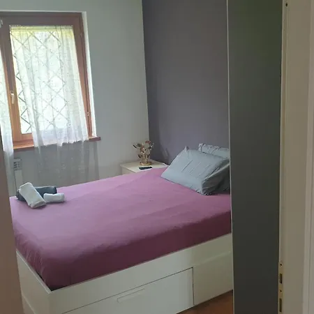 Guest house Domus *