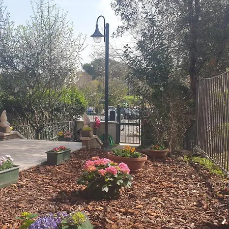 Guest house Domus Rome