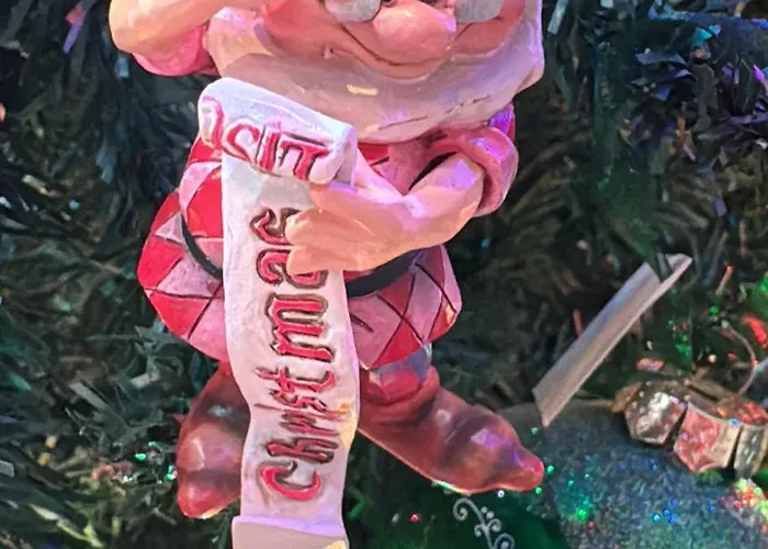 Gasthuis Domus